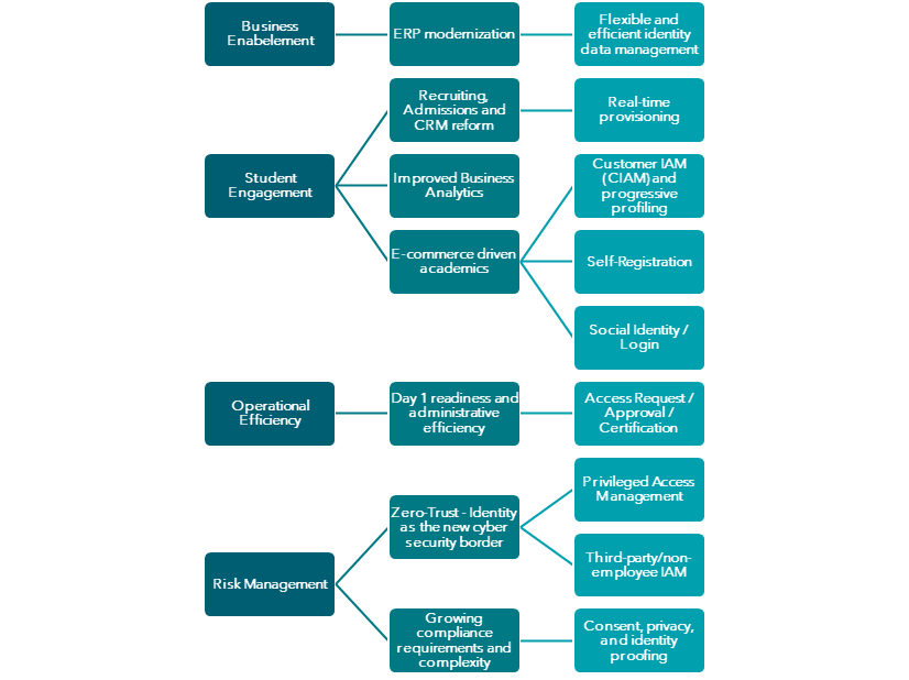 Tree diagram mapping four IAM business drivers - business enablement, student engagement, operational efficiency, and risk management - to the initiatives and IAM capabilities that support them.