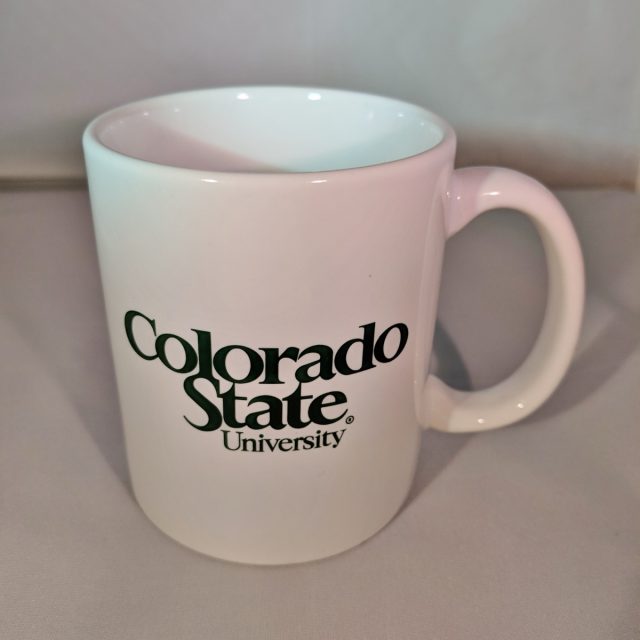 Colorado State University
